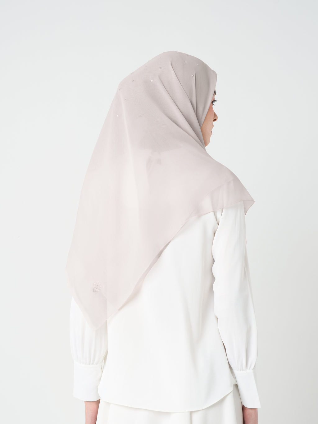Plain Logo napocut 29